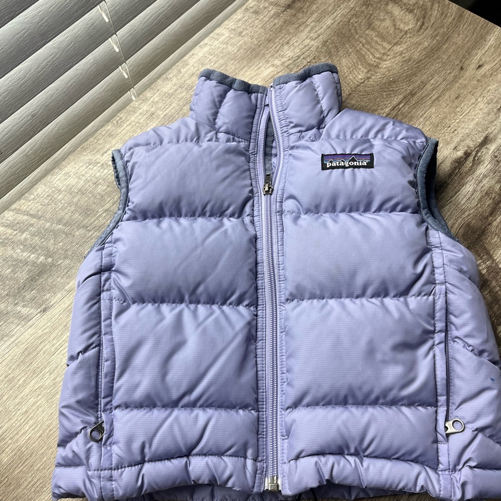 Patagonia Purple Puffer Vest